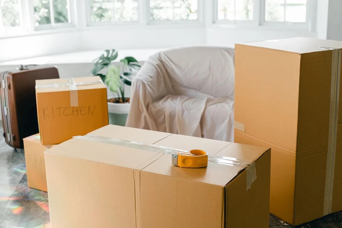 Hoarding Cleanup in Ionia, MI